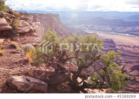 Utah landscapes Utah landscapes 45169269