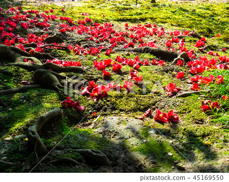 The Fall of Seongnam Palace 45169550
