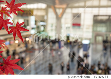 [Haneda Airport International Terminal] 45169711