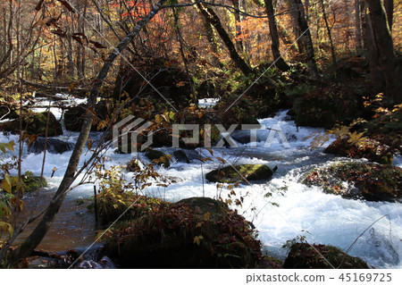 變成紅色的青森Oirase山間小溪 變成紅色的青森Oirase山間小溪 45169725