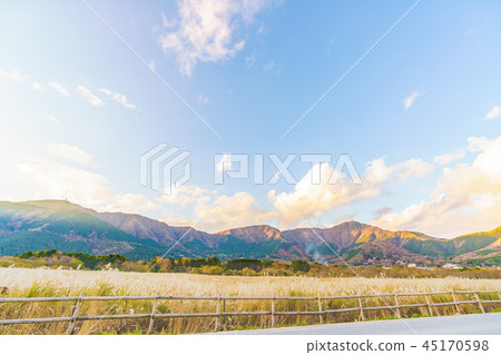 Japan's Autumn Hakone Sengokuhara Susuki prairie 45170598