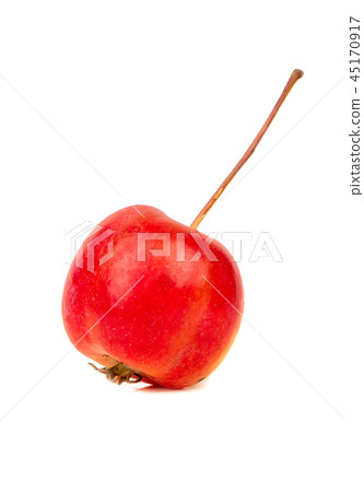 Little paradise apple Little paradise apple 45170917