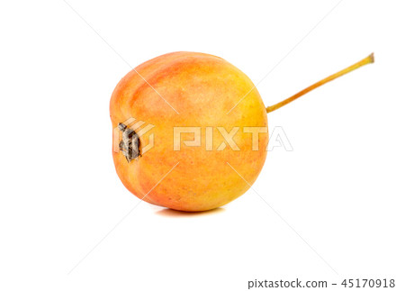 Little paradise apple 45170918