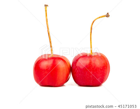 Two paradise apple 45171053