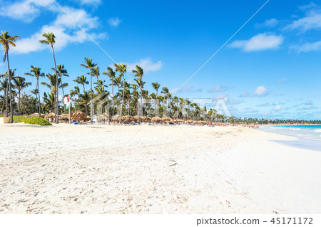 Vacation in Dominican Republic Vacation in Dominican Republic 45171172