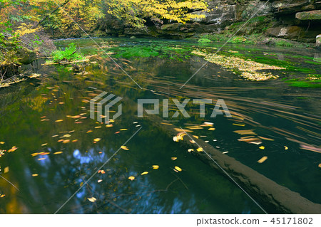 Small river in a forest in autumn. Small river in a forest in autumn. 45171802