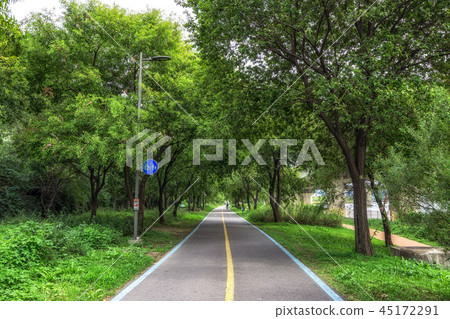 Han River bike lane Han River bike lane 45172291