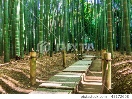 鎌倉Hogokuji竹園 鎌倉Hogokuji竹園 45172608
