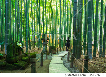 鎌倉Hogokuji竹園 45172610