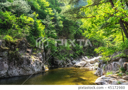 Sogeumgang creek in Odaesan NP 45172980