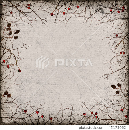 Dry twigs frame with cones and berries on paper Dry twigs frame with cones and berries on paper 45173062