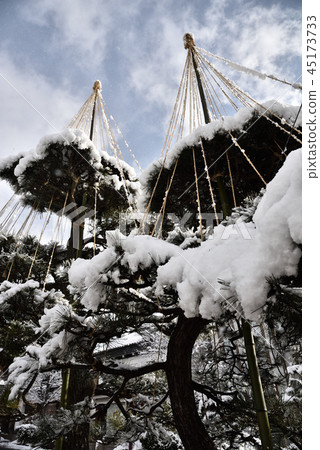 Snow Hanger Snow Hanger 45173733