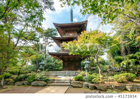 Gotokuji, the beckoning cat in Setagaya-ku, Tokyo Gotokuji, the beckoning cat in Setagaya-ku, Tokyo 45173934