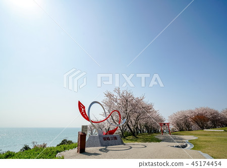 Sakura Awashima Shrine 45174454