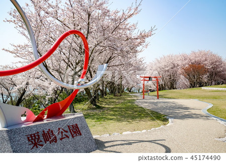 櫻花Awashima神社 櫻花Awashima神社 45174490