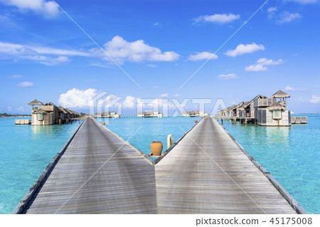 印度洋美麗的珊瑚礁海 印度洋美麗的珊瑚礁海 45175008