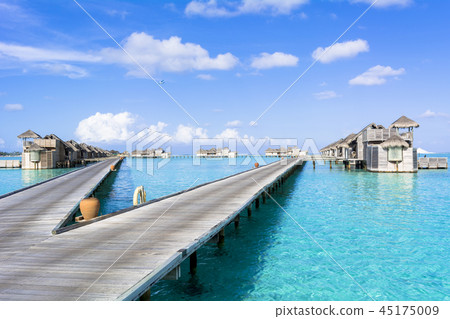 印度洋美麗的珊瑚礁海 45175009