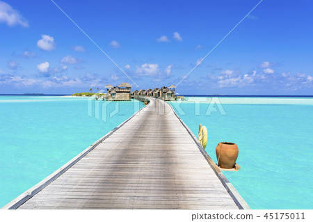 Beautiful coral reef sea in the Indian Ocean 45175011