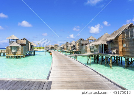 印度洋美麗的珊瑚礁海 45175013