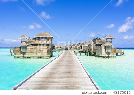 Beautiful coral reef sea in the Indian Ocean Beautiful coral reef sea in the Indian Ocean 45175015