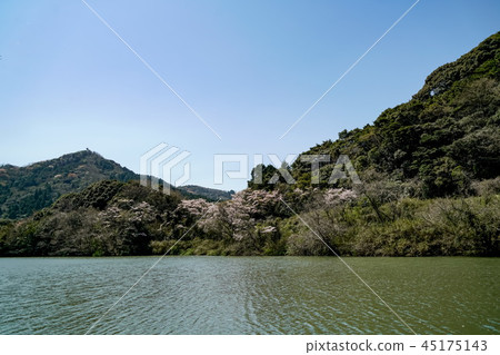 Sakura Aki Dam 45175143