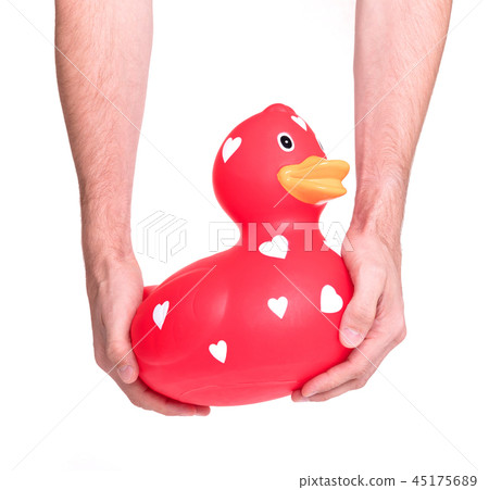 Hands holding large red rubber duck Hands holding large red rubber duck 45175689