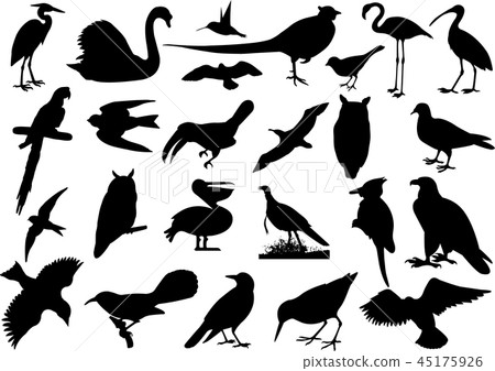 birds silhouettes collection birds silhouettes collection 45175926
