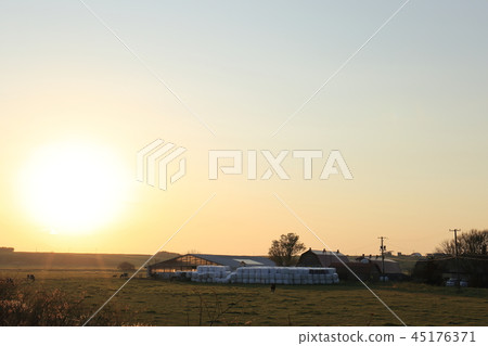 Hokkaido Twilight Ranch 45176371