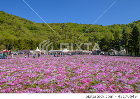 Fuji Shiba Sakura Festival [2018] 45176649