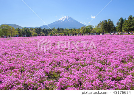 富士芝麻櫻花節[2018] 45176654