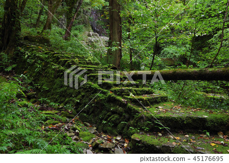 Shimane Prefecture, Himimi Gorge, Okukimi Gorge (October 2018) 45176695