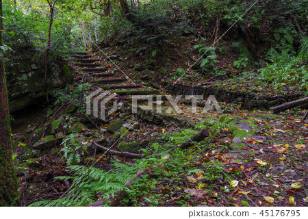 Shimane Prefecture, Himimi Gorge, Okukimi Gorge (October 2018) Shimane Prefecture, Himimi Gorge, Okukimi Gorge (October 2018) 45176795