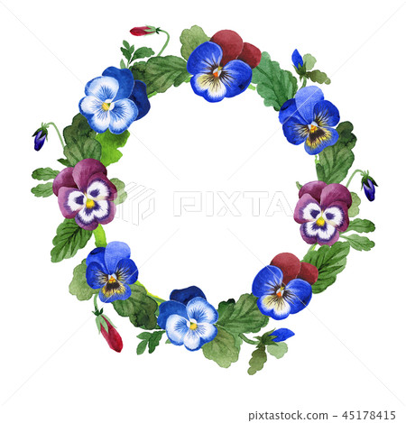 Blue viola frame. Floral botanical flower. Green leaf. Leaf plant botanical garden floral foliage 45178415