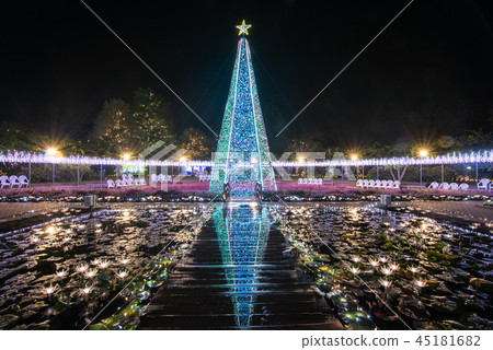 Ashikaga Flower Park Ilumi Slightly Shallow Shelf Amethyst Sage 45181682