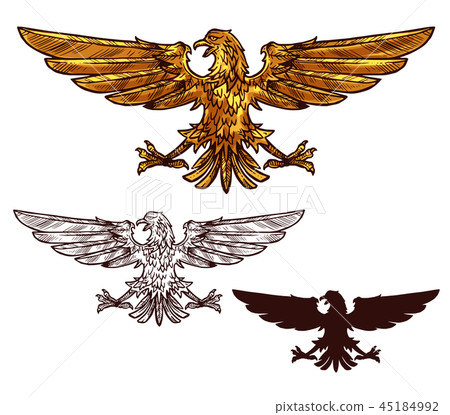 Eagle or hawk heraldic golden bird 45184992