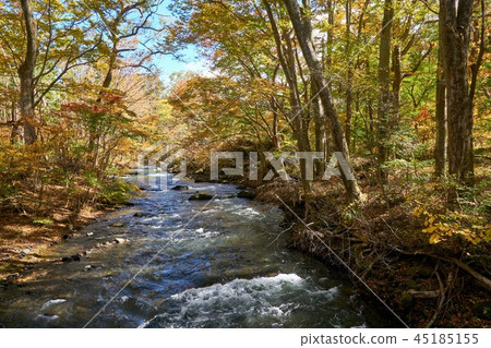 山梨縣Kaneyama瀑布 45185155