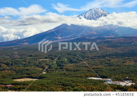 Yamanashi Prefecture, Mt. Fuji, Jukai and Mt. Fuji Yamanashi Prefecture, Mt. Fuji, Jukai and Mt. Fuji 45185658