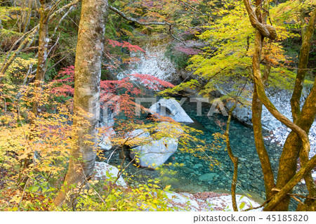 Autumn's Kawagawa River 45185820