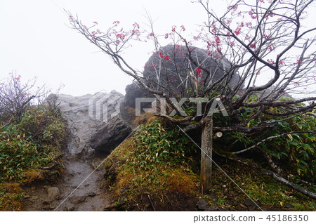 Tanigawadake Tomari ground of the mist of Tengu Tanigawadake Tomari ground of the mist of Tengu 45186350