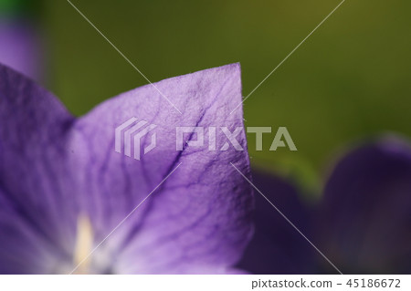 Tetsusen Tetsusen 45186672