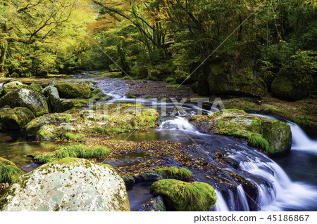 Kikuchi Valley dyed in autumn colors 45186867