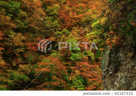 秋葉的民間谷 45187318