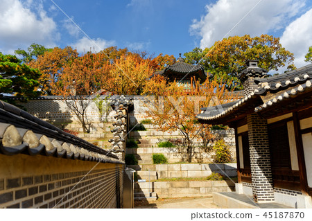 Fall in the Changdeokgung Palace, the palace of the Joseon Dynasty Fall in the Changdeokgung Palace, the palace of the Joseon Dynasty 45187870