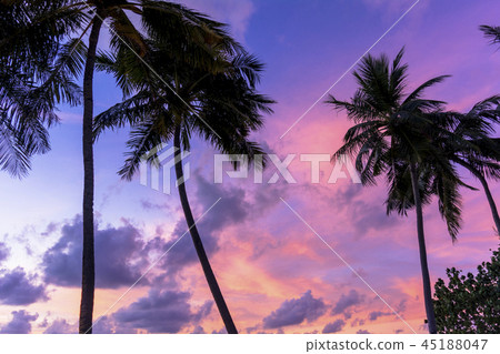 印度洋的美好的日落視圖 45188047