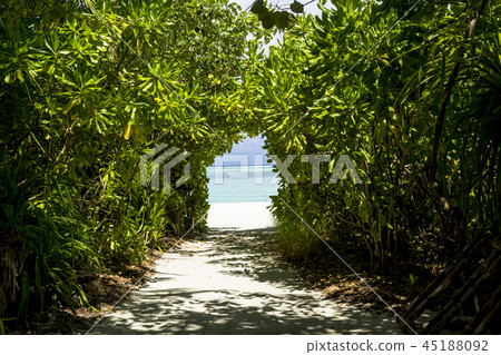 Indian Ocean Resort Image 45188092