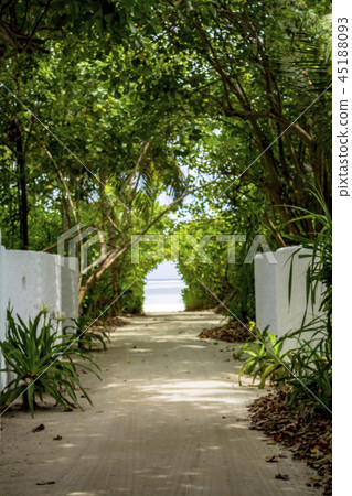 Indian Ocean Resort Image Indian Ocean Resort Image 45188093