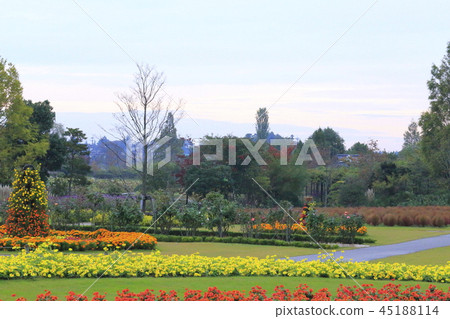 秋天在千葉縣野田市清水公園 照片素材 圖片 圖庫