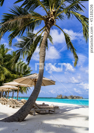 Indian Ocean Resort Image 45188206