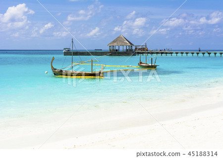 Beautiful coral reef sea in the Indian Ocean Beautiful coral reef sea in the Indian Ocean 45188314