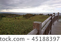 Shiretoko Nature 45188397